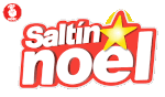 saltin-noel-logo
